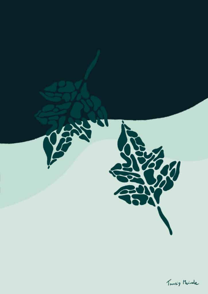 Plant illustrations fallen leaves